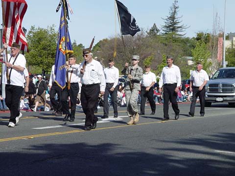 Veterans of Foreign Wars Post 3919 in local parade